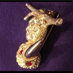 Tucan Gold with Ruby Pin